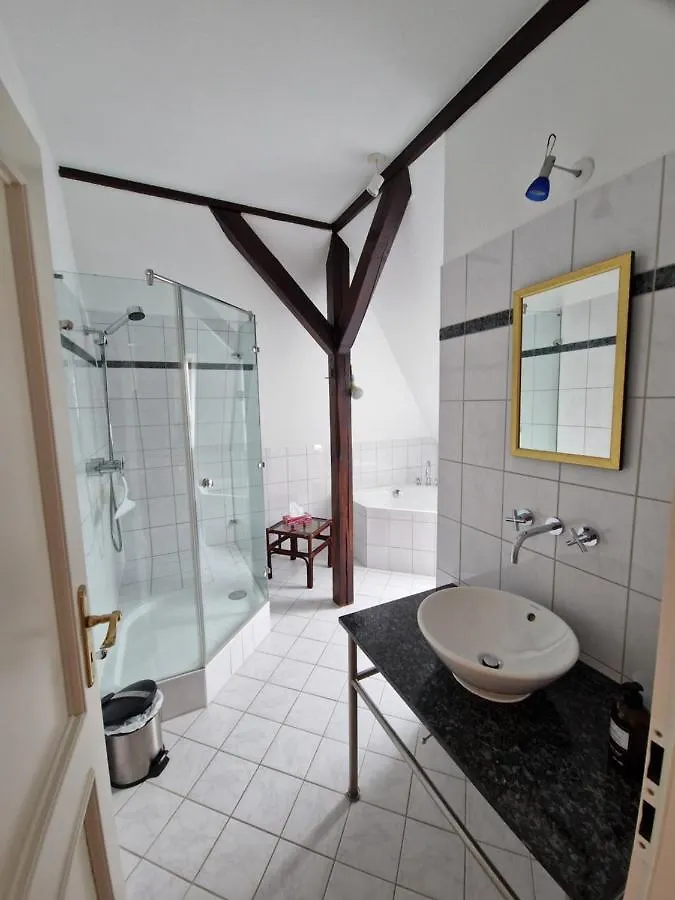 Apartment Ferienwohnung mit Flair Dresden